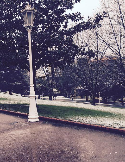 Parque